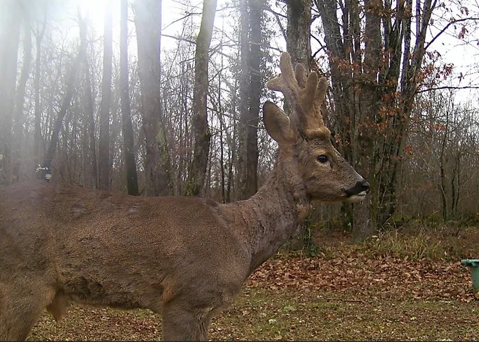 La Papeterie De Charme